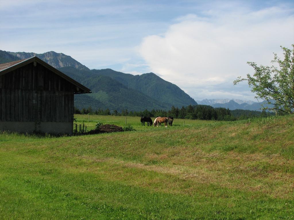 Beim Bicher Grabenstätt Buitenkant foto